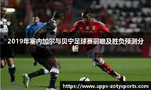 中欧体育